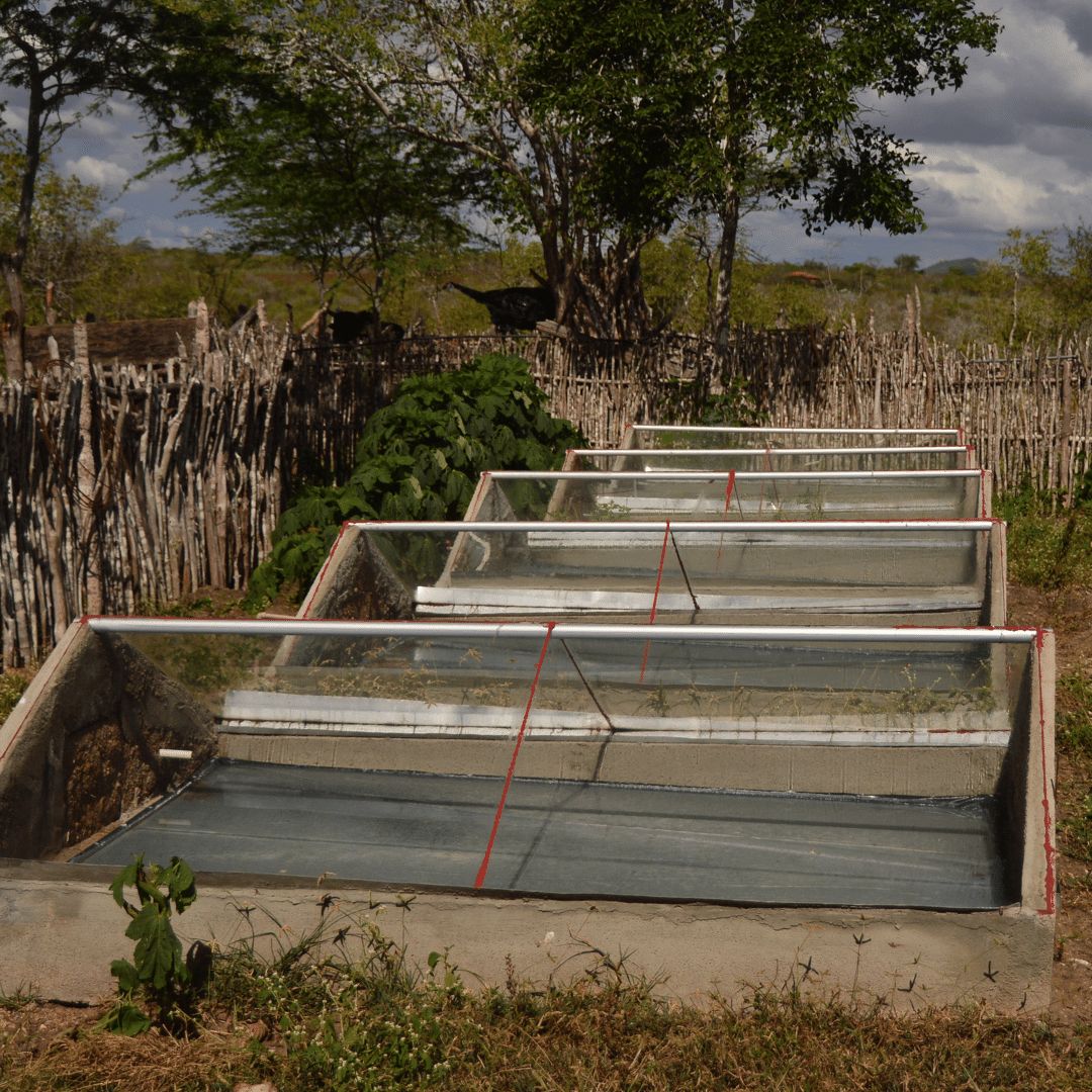 ONG lança campanha para construir equipamento que garante água potável no semiárido paraibano
