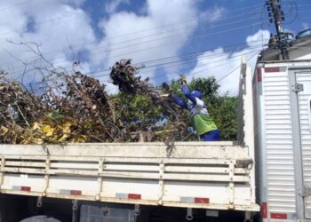 Emlur recolhe entulhos em 12 bairros nesta segunda-feira