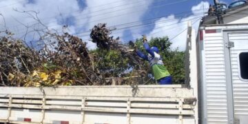 Emlur recolhe entulhos em 12 bairros nesta segunda-feira