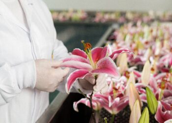 Corrente de mulheres incentiva protagonismo feminino em campanha de Lily Lumière, do Boticário