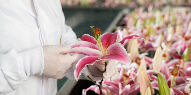 Corrente de mulheres incentiva protagonismo feminino em campanha de Lily Lumière, do Boticário