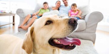 Pets dentro de casa, organização e higiene harmonizam a convivência