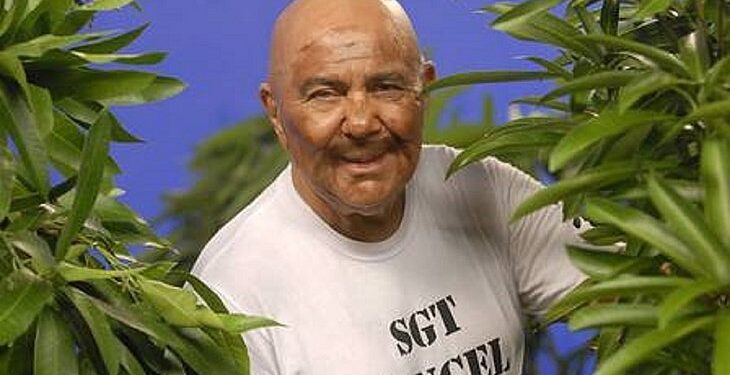 Morre Roberto Guilherme, o Sargento Pincel