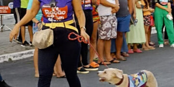 Ração do Bem: Evento realizado no Parque da Liberdade arrecadou duas toneladas de alimentos para cães e gatos