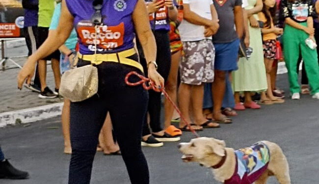 Ração do Bem: Evento realizado no Parque da Liberdade arrecadou duas toneladas de alimentos para cães e gatos