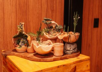 Autodidatas e independentes, artistas do “Moringas da Paraíba” comentam exposição no BA’RA Hotel