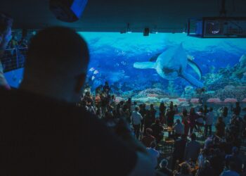 Luzzco completa um mês de arte e inspiração com mais de 7 mil visitantes