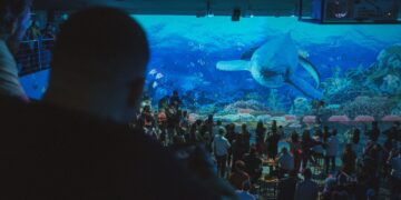 Luzzco completa um mês de arte e inspiração com mais de 7 mil visitantes