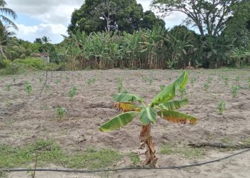 Equipe de nutrição da Secretaria de Educação realiza visita técnica