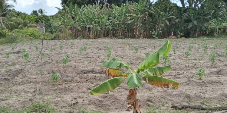 Equipe de nutrição da Secretaria de Educação realiza visita técnica