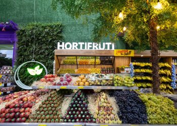 Excesso no Carnaval: confira opções naturais para desintoxicação