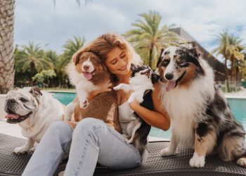 Em João Pessoa: Isadora Cruz será a embaixadora oficial do Hospital Veterinário Vida