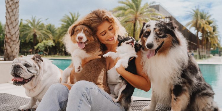 Em João Pessoa: Isadora Cruz será a embaixadora oficial do Hospital Veterinário Vida