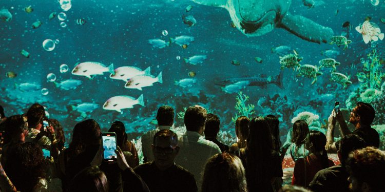 Luzzco celebra o Mês das Crianças com estreia do fascinante reino dos dinossauros