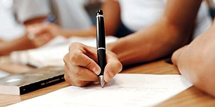 Prefeitura de Conde lança processo seletivo para promover ações na assistência social