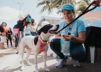 Ação do Hospital Veterinário VIDA movimenta a orla de João Pessoa com cuidados gratuitos para pets e tutores