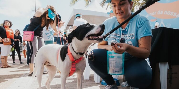 Ação do Hospital Veterinário VIDA movimenta a orla de João Pessoa com cuidados gratuitos para pets e tutores