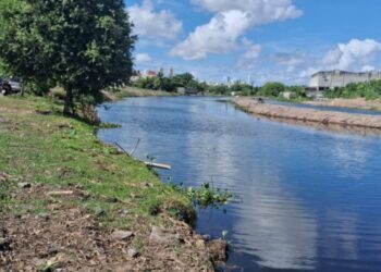 Prefeitura de João Pessoa planta mudas nativas para recuperar mata ciliar do Rio Jaguaribe