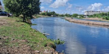 Prefeitura de João Pessoa planta mudas nativas para recuperar mata ciliar do Rio Jaguaribe