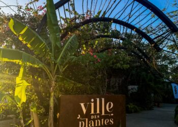 Feira das Pulgas chega ao Ville des Plantes com programação cultural e clima natalino