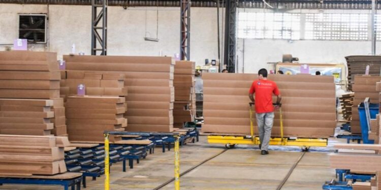 “Nordeste pode alcançar autossuficiência”: uma análise sobre o futuro do setor moveleiro do Nordeste