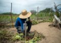 CTG Brasil se prepara para novo ciclo de crescimento sustentável