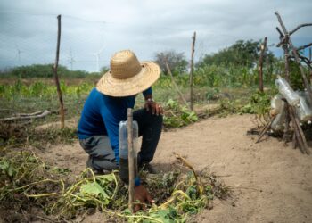 CTG Brasil se prepara para novo ciclo de crescimento sustentável