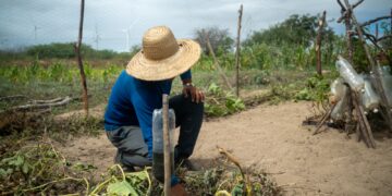 CTG Brasil se prepara para novo ciclo de crescimento sustentável